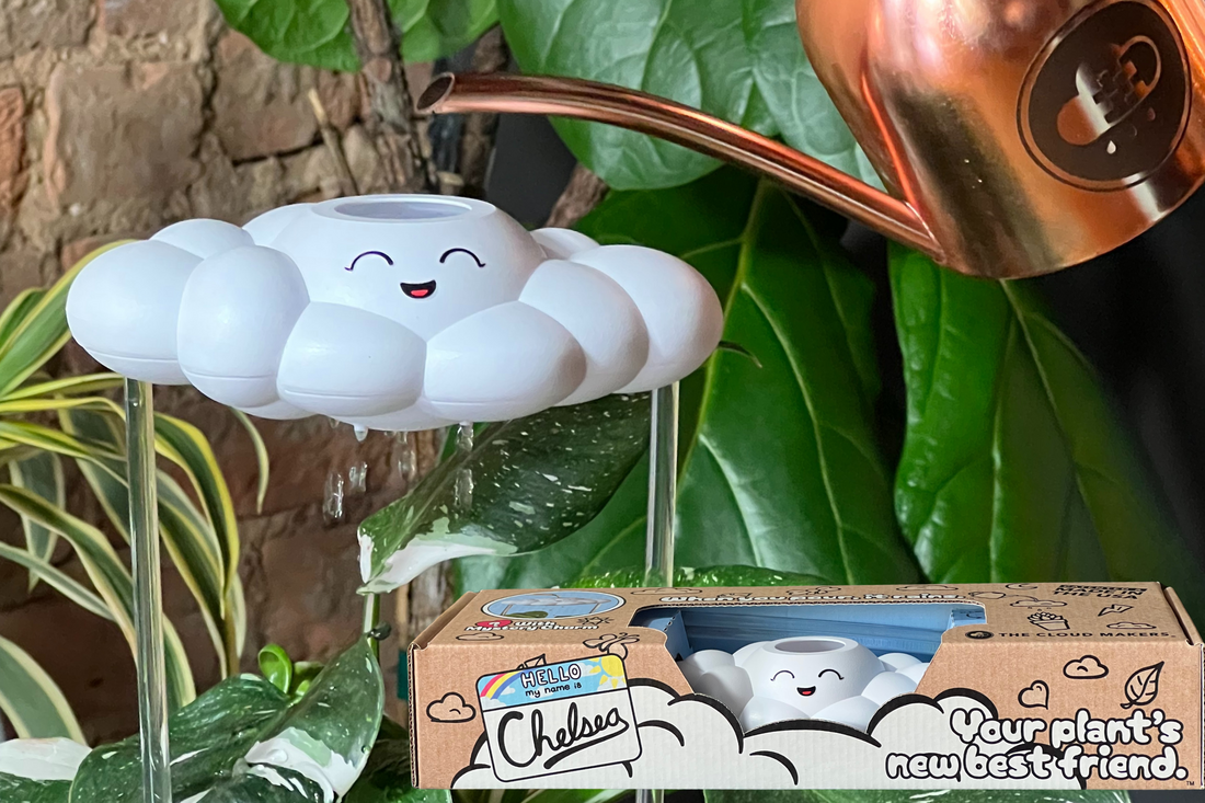 f4804508 32fe 4a4f b5df 1c8bd0bb0cc0