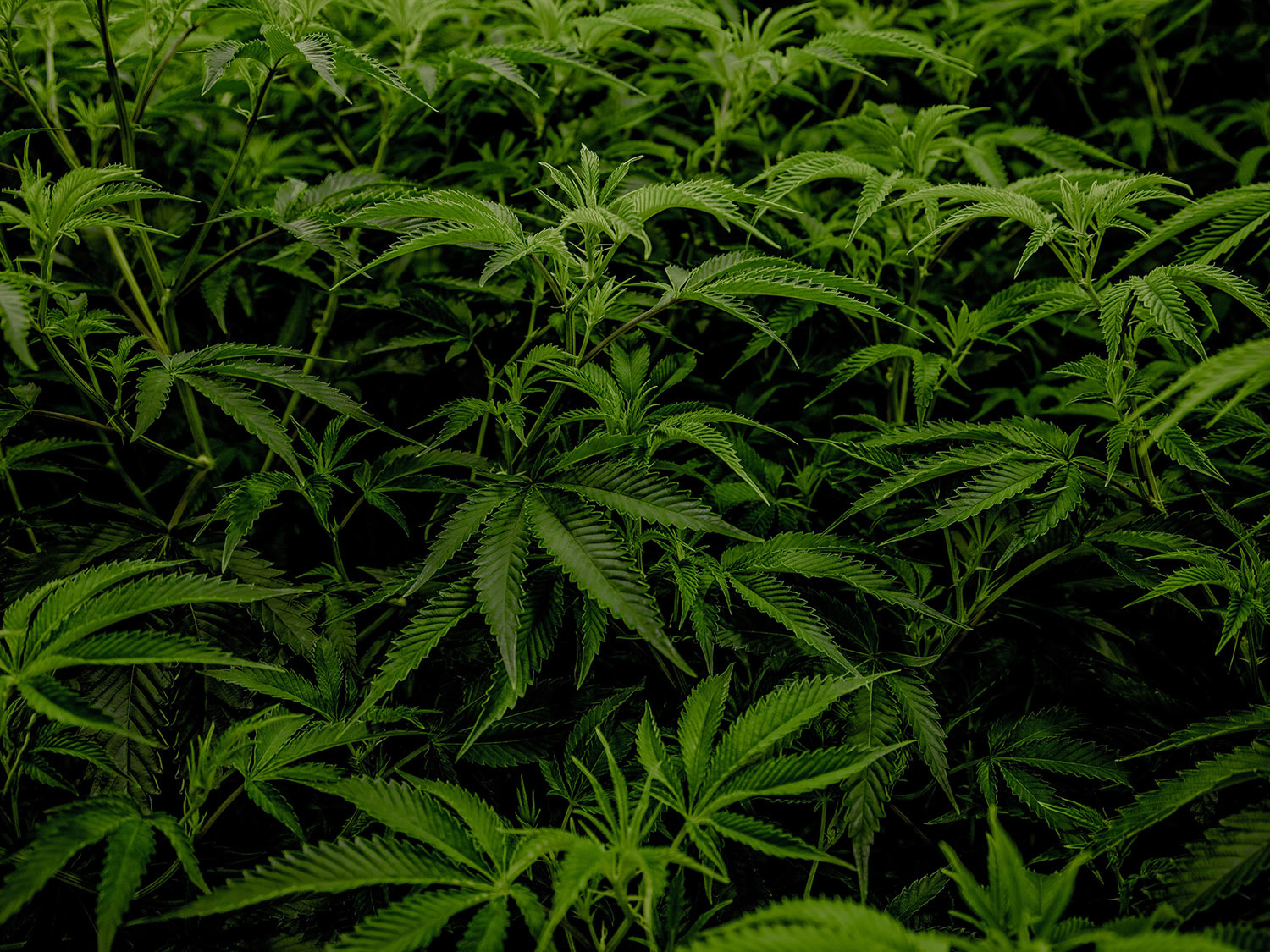 28ee5722 7ab0 46fd 918d 787890012952