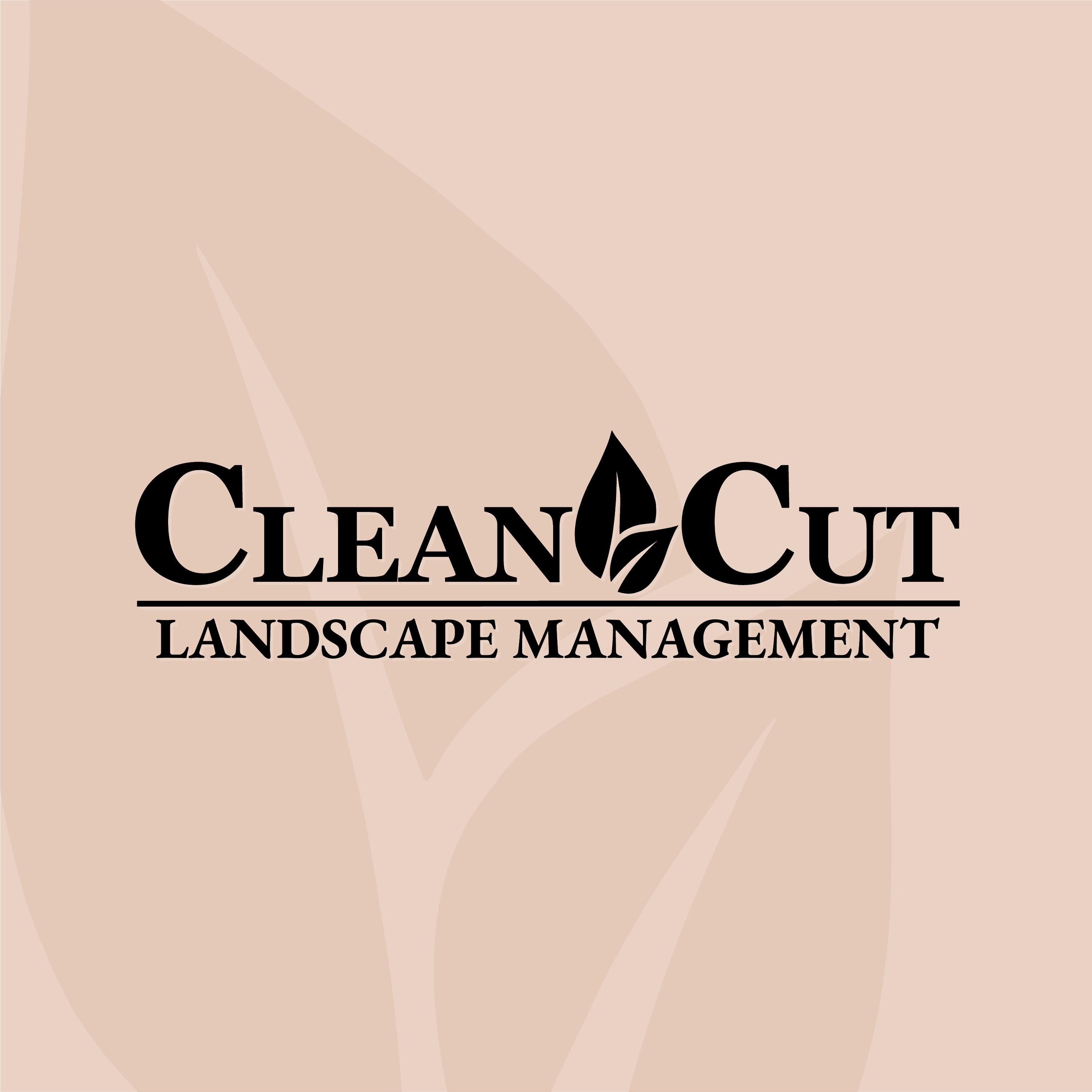 0a6b4c15 74dd 4897 8b50 5b7d7ba1ebfa