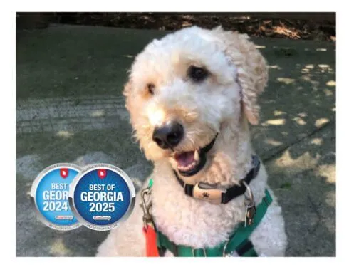 2 BOG Polite Manners Pic Cropped 490x375