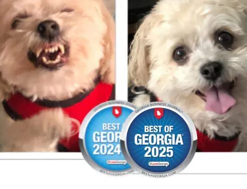 2 BOG Reactive to Relaxed Program Pic Cropped 490x375