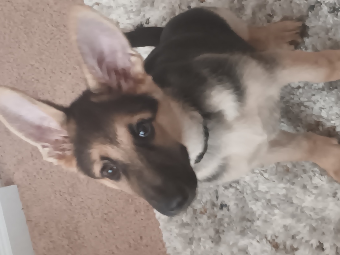 c0bff64b 3174 4213 ae75 20fc44be6c4e