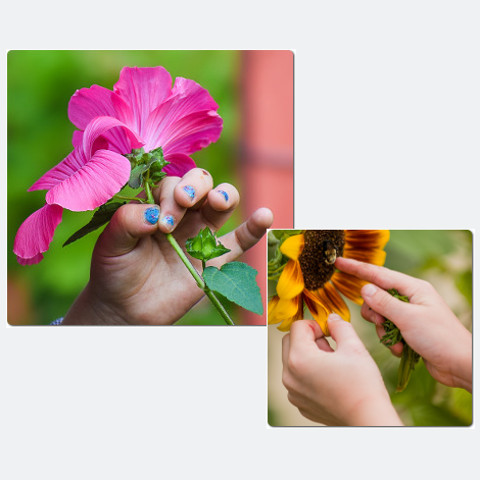 001588ecf51f63249894e73ca1f7c0ecf7f79956