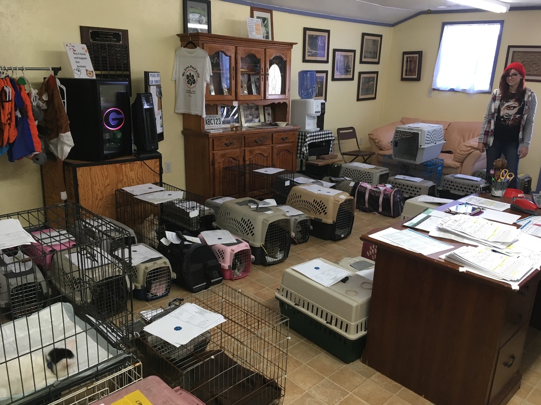 28bc48db fecf 4d0c be77 641d175780d1