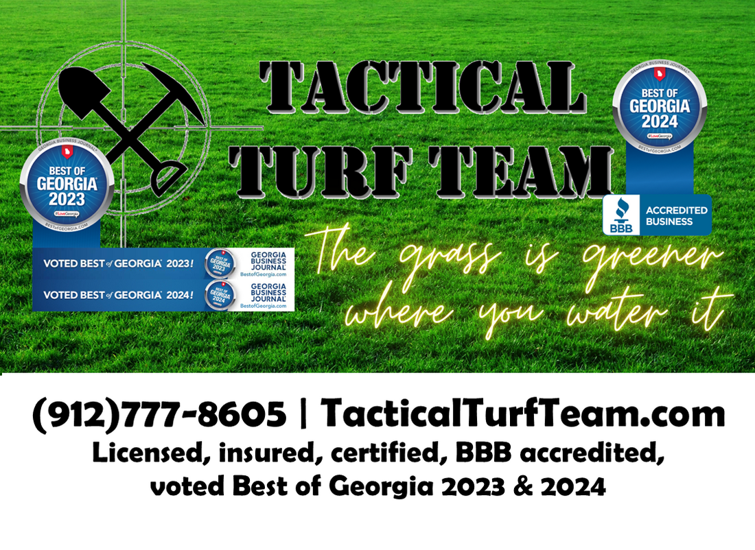 2891fc11 ce60 4a9a a241 caac837e0401