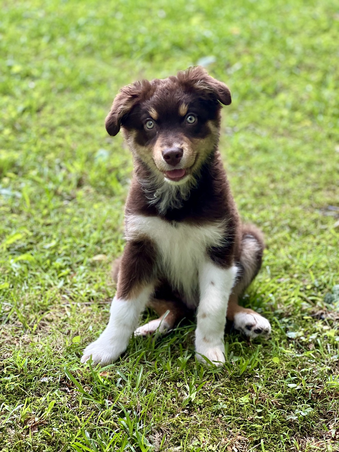 c62f717c 7b17 46d3 a969 39b8e62d68e0