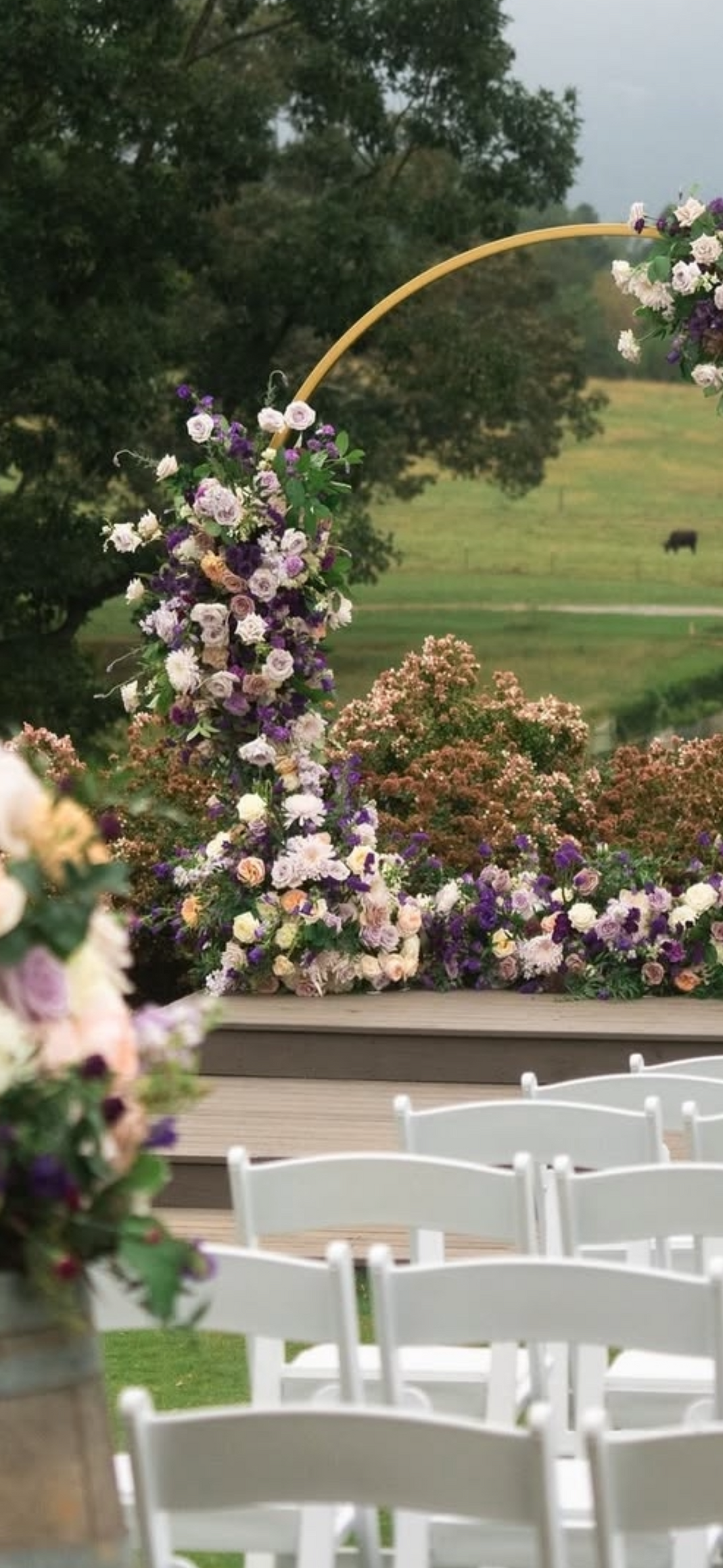 62bb56eb 8fff 4cc9 b19b 4ca403cd38a4