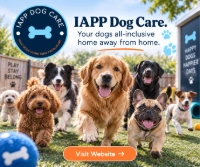 IAPP Dog Care/IAPP Dog Daycare And Boarding