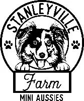 Stanleyville Toy & Mini Aussies