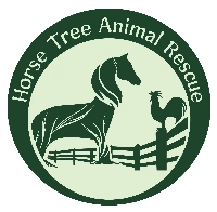 Horse Tree Animal Rescue