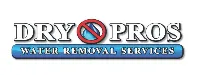 Dry Pros