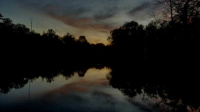 The Hollow
