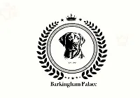 Barkingham Palace Dog Boarding & Daycare