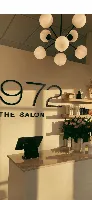 1972 The Salon