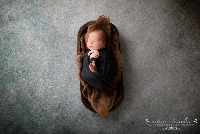 Madison Colt Studios