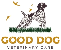 Good Dog Veterinary Care