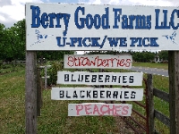 Berry Good Farms