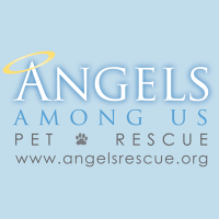 Angels Among Us Pet Rescue