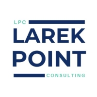 Larek Point Consulting