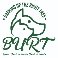 Barking Up the Right Tree