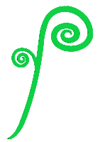 Fiddleheads Garden Center