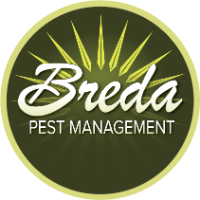 Breda Pest Management