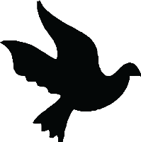 The Big Fake Wedding