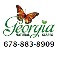 Georgia Natural Scapes