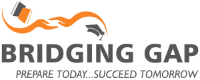 Bridging Gap USA