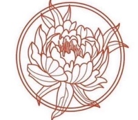 Paris Esthetics Skin Care LLC