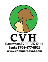 Commerce Veterinary Hospital