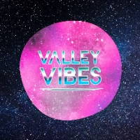 Valley Vibes Music & Arts Festival