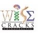 Wise Cracks Chiropractic