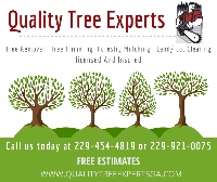 Quality Tree Experts