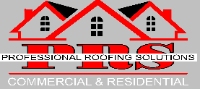 Professional Roofing Solutions