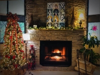 Northside-Wesleyan Animal Hospital