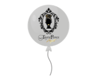 TheTayraPerezProject Events