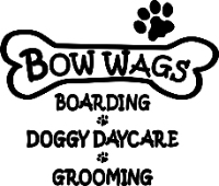 Bow Wags