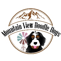 Mountain View Doodle Dogs