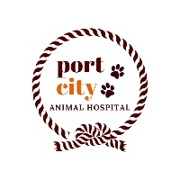 Port City Animal Hospital