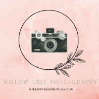 Willow Tree Photography