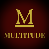 MULTITUDE VENUE LLC