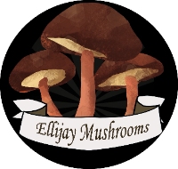 Ellijay Mushrooms