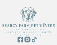 Searcy Farm Retrievers at Angels Landing