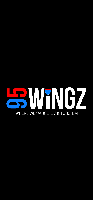 95 WINGZ