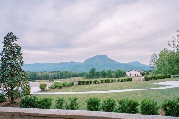 The Venue at Cottonwood Farms