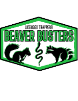 Beaver Busters LLC
