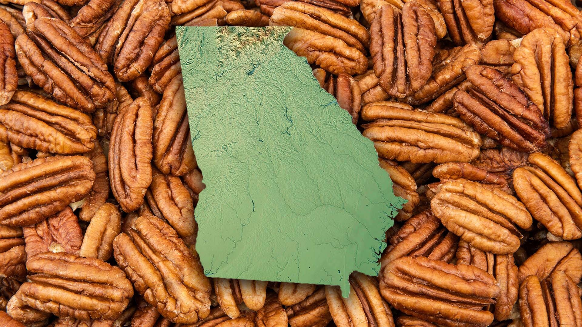 Puh-KHAN or PEE-can? Georgia's Going Nuts for this Top Tree Nut!