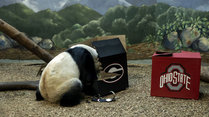 Yang Yang The Panda Picks Peach Bowl Winner