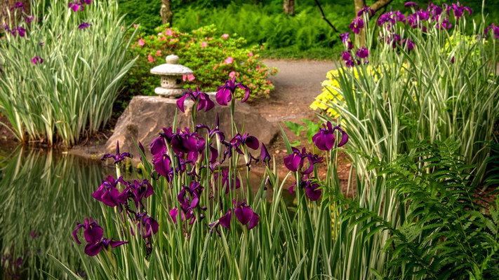 Spring Has Sprung! It's All About The May Flowers